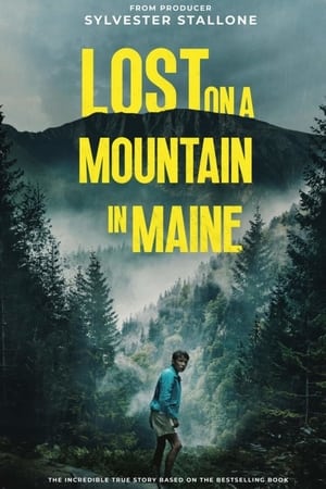 Lost on a Mountain in Maine 2024 Hindi Subbed