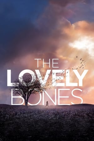 The Lovely Bones (2009) Hindi Dual Audio 430MB