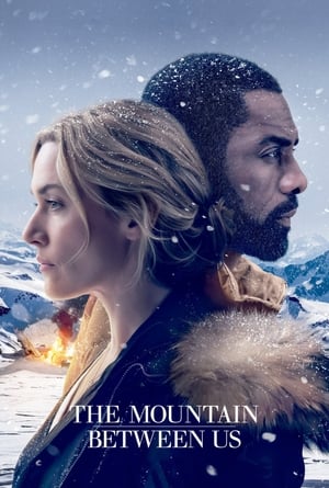 The Mountain Between Us 2017 Dual Audio Hindi [180MB]